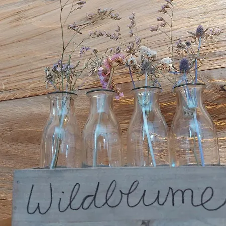 Alpentraum - Wildblume Fischen im Allgaeu